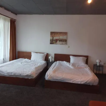 цветелина и митко