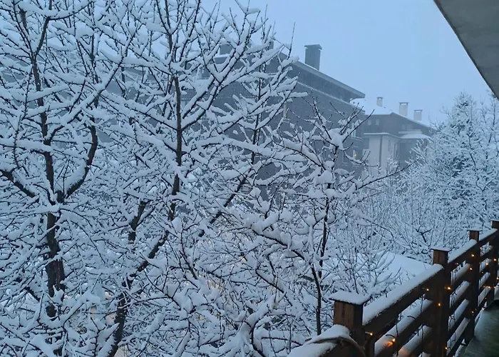 цветелина и митко Bansko