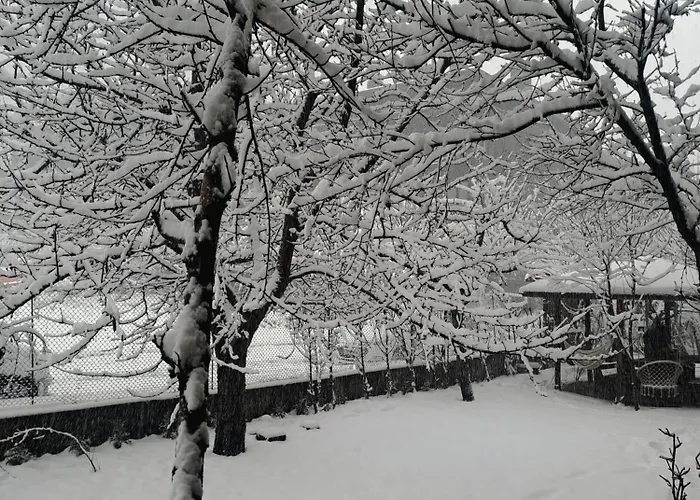 Dom wakacyjny цветелина и митко