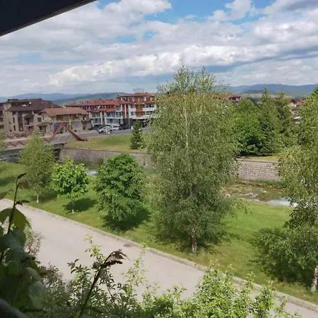 цветелина и митко