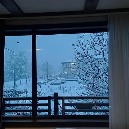 цветелина и митко Bansko