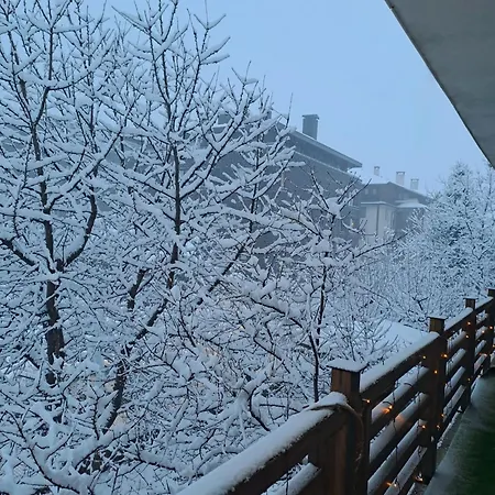 цветелина и митко Bansko