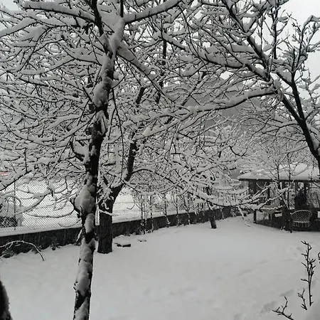 Tatil Evi цветелина и митко