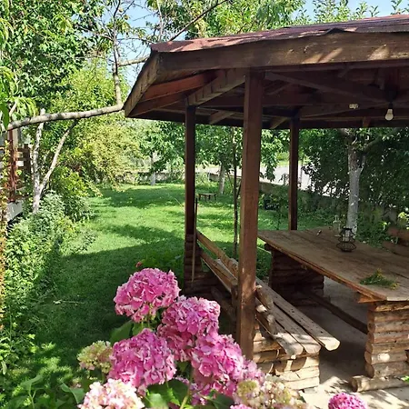 цветелина и митко Bansko