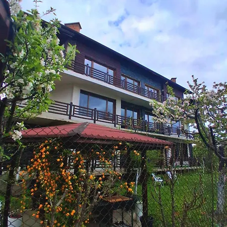 Homely 반스코