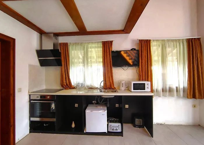 Vakantiehuis цветелина и митко Bansko